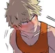 Katsuki Bakugou 