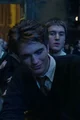 Cedric Diggory