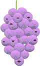 member berries