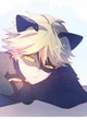 Boyfriend Chat noir 