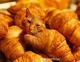 croissant cat