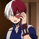 Shoto Todoroki