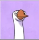 Goose