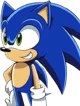 Sonic the hedgehog