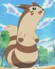 Furret
