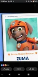Zuma from paw patrol