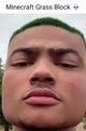 Grass Block Guy