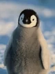 Pablo P Pinguim