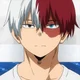 Shoto Todoroki
