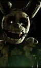 Spring trap