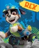Rex from paw patrol 