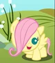 Baby fluttershy