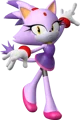 Blaze the cat 