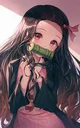 Nezuko kamado