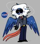 NASA as a human