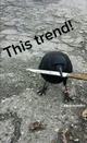 Knife Bird 