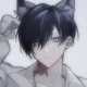Rin your pet cat