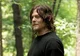 Daryl Dixon 