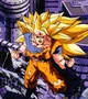 Ssj3 goku