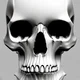 Skull Bot