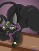 Moonshine Cat