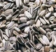 Sunflower seeds