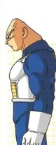 Bald Vegeta