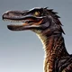 Velociraptor 