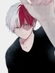 Shoto Todoroki bf