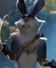 Bunnymund