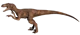 Velociraptor 