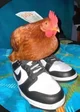 chicken drip
