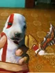 Dog Kratos