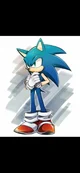Unknown Sonic