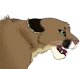 Cougar