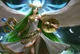 Palutena