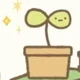 Plant Pot