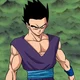 Gohan 