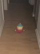 Cartman Plushie