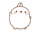 Molang