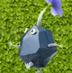 Rock Pikmin
