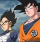 Goku and Vegeta