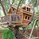 Treehouse