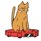 Cat Tord 