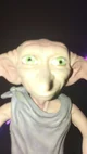 Silly Dobby Doodoo 