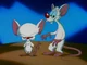 Pinky and the Brain