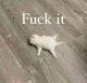fuck it
