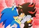 Sonic x Shadow rp
