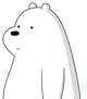 Ice bear
