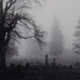 Foggy Graveyard
